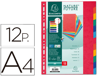 SEPARADOR EXACOMPTA CARTOLINA CONJUNTO DE 12 SEPARADORES DE CORES DIN A4 MULTIPERFURADO