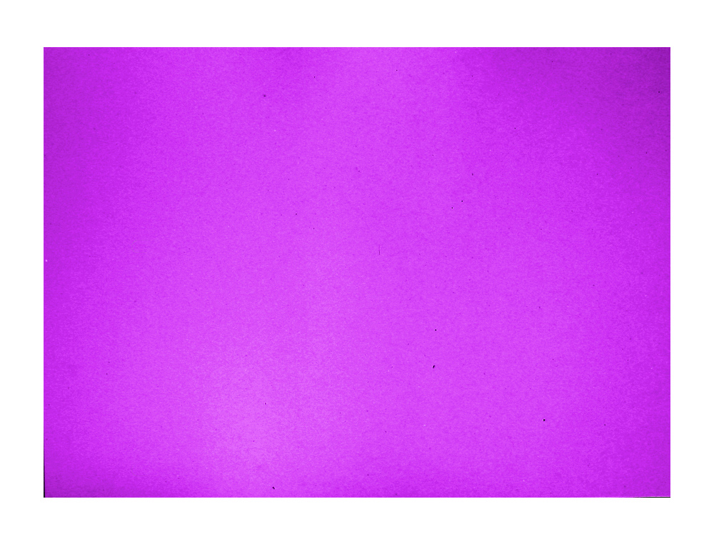 CARTOLINA GUARRO 50X65 CM 185 GR VIOLETA