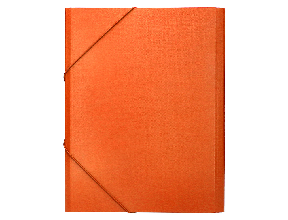 PASTA CLASSIFICADORA LIDERPAPEL COM 12 DEPARTAMENTOS LARANJA
