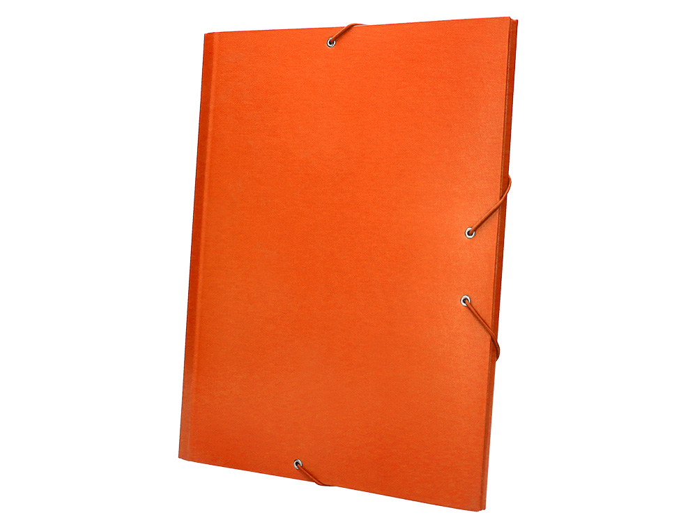 PASTA CLASSIFICADORA LIDERPAPEL COM 12 DEPARTAMENTOS LARANJA