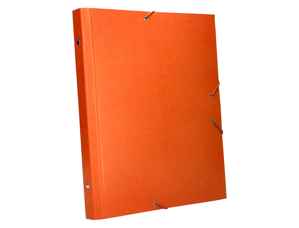 PASTA CLASSIFICADORA LIDERPAPEL COM 12 DEPARTAMENTOS LARANJA