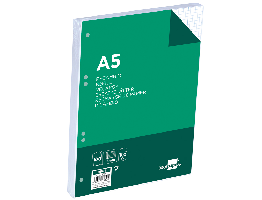 RECARGA LIDERPAPEL DIN A5 100 F 100 GR QUADRICULADO