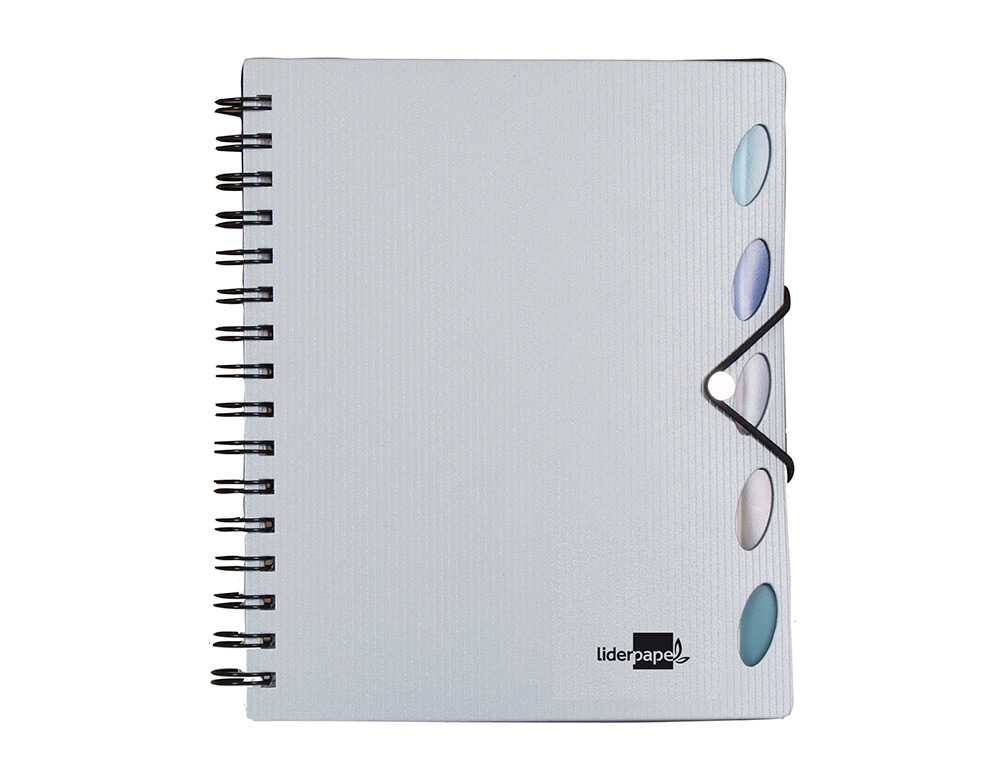 CADERNO ESPIRAL LIDERPAPEL EXECUTIVE 100 FLS A4 PRATA QUAD