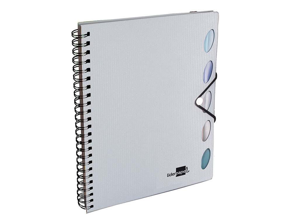 CADERNO ESPIRAL LIDERPAPEL EXECUTIVE 100 FLS A4 PRATA QUAD