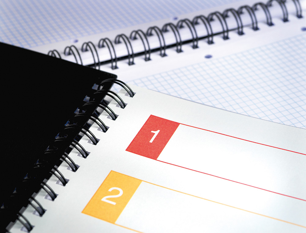 CADERNO ESPIRAL LIDERPAPEL EXECUTIVE 100 FLS A4 PRATA QUAD