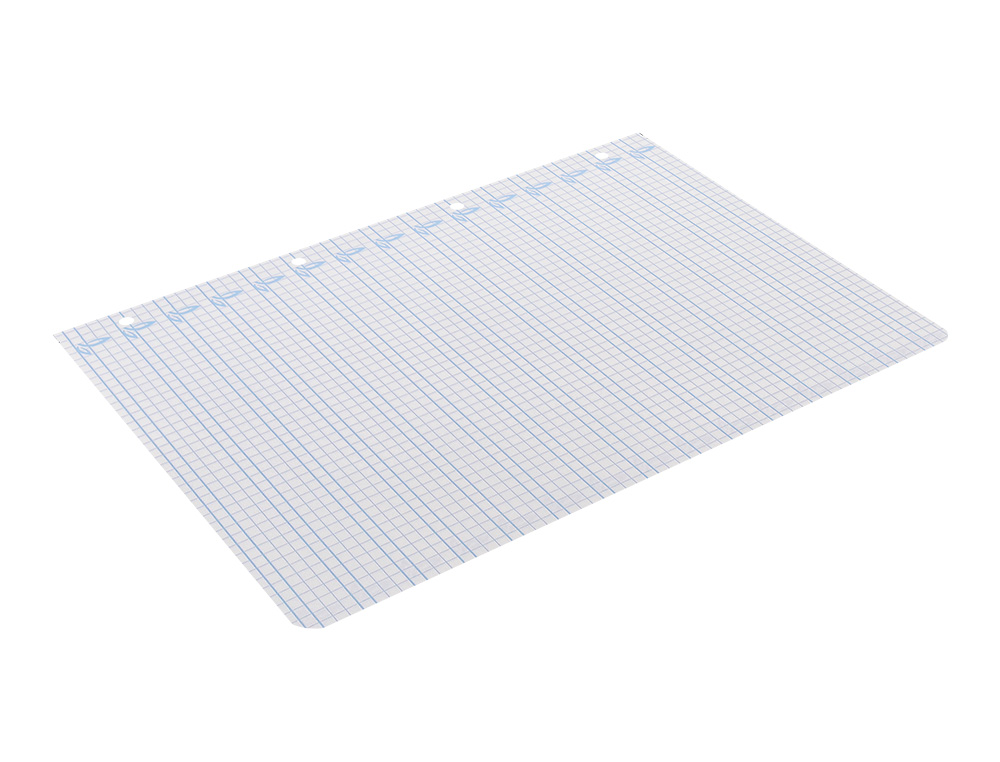 RECAMBIO LIDERPAPEL FOLIO 100 H 4 TALADROS 70 GR CUADRICULADO PAUTADO 5 MM CON MARGEN