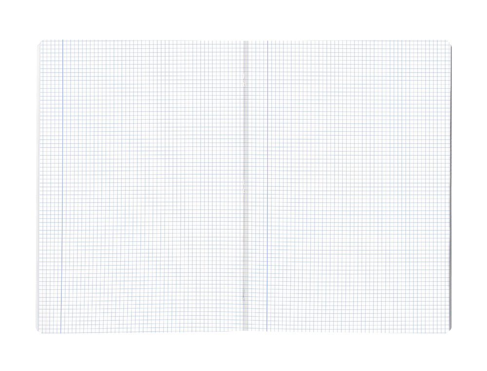 CADERNO AGRAFADO LIDERPAPEL SCRIPTUS DIN A4 48 F QUADRICULA 5MM 90 GR COM MARGEM CORES SORTIDOS