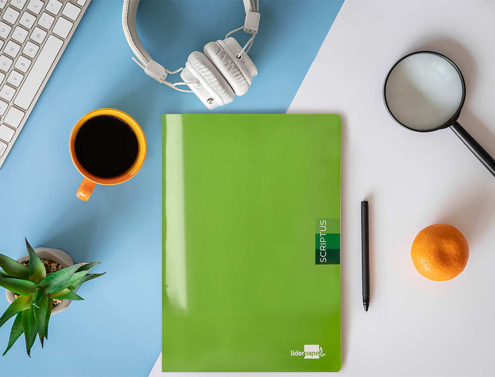 CADERNO AGRAFADO LIDERPAPEL SCRIPTUS DIN A4 48 F QUADRICULA 5MM 90 GR COM MARGEM CORES SORTIDOS