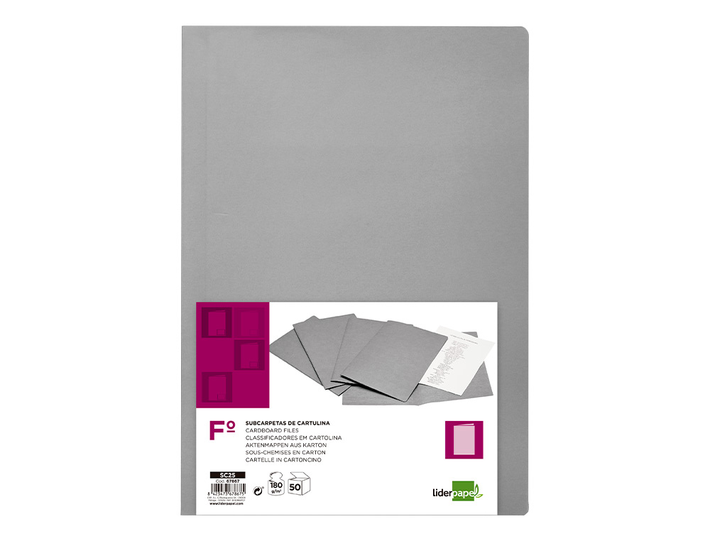 CLASSIFICADORES LIDERPAPEL DE CARTOLINA FOLIO CINZA INTENSO 180G/M2