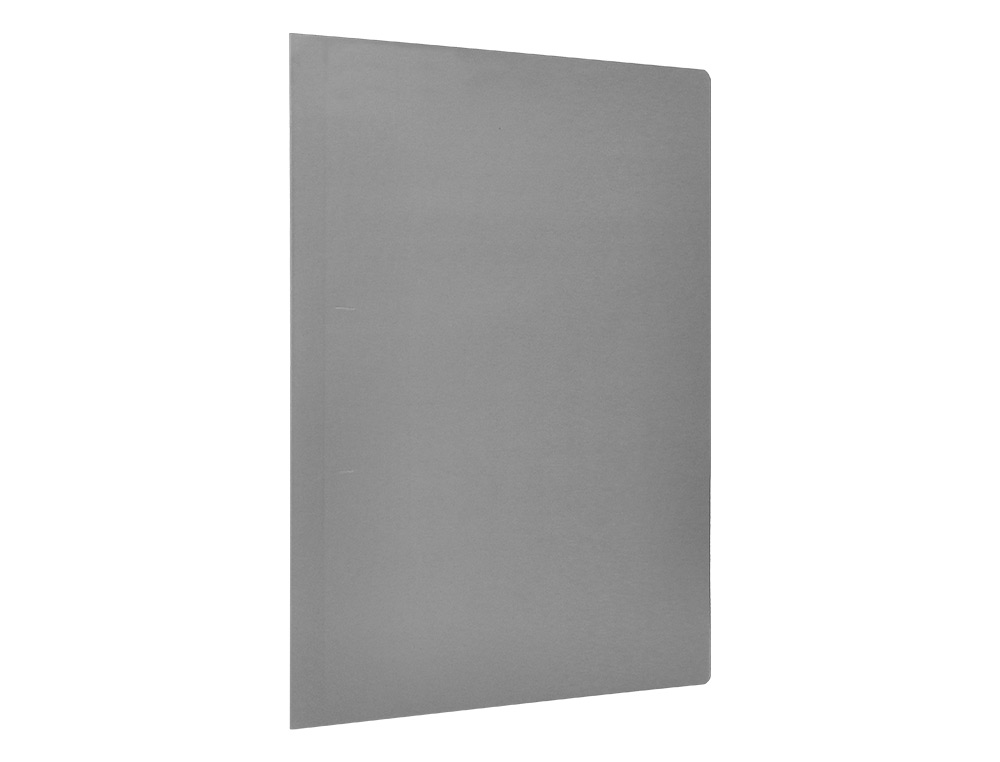 CLASSIFICADORES LIDERPAPEL DE CARTOLINA FOLIO CINZA INTENSO 180G/M2