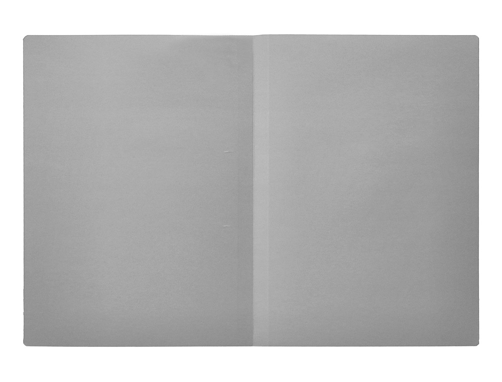 CLASSIFICADORES LIDERPAPEL DE CARTOLINA FOLIO CINZA INTENSO 180G/M2