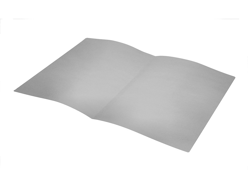 CLASSIFICADORES LIDERPAPEL DE CARTOLINA FOLIO CINZA INTENSO 180G/M2