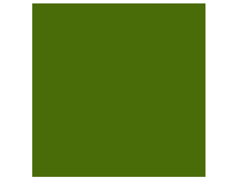 CARTOLINA GUARRO 50X65 CM 185 GR VERDE SAFARI